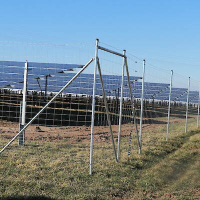 Beitragsbild Stellungnahme/Leitgedanken zur solaren Energieerzeugung